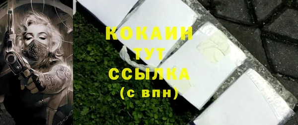 мдпв Верхний Тагил